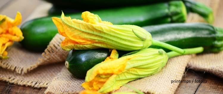 EcoTopTen Saisonrezept Juli: Zucchini